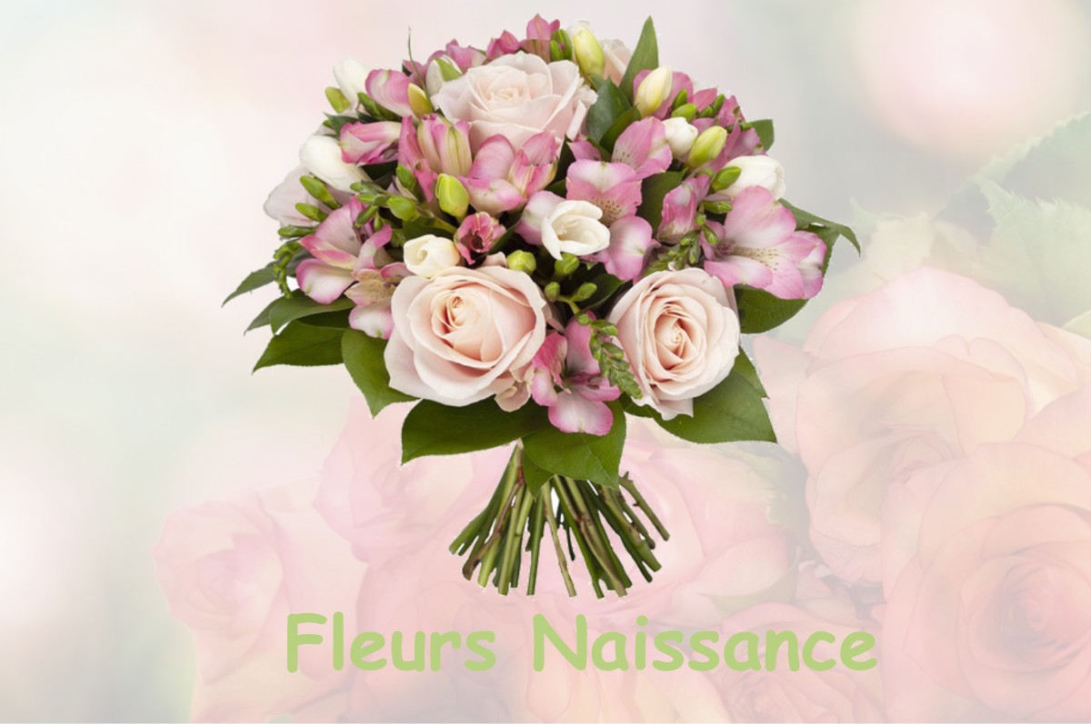 fleurs naissance BALESMES-SUR-MARNE